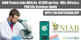 NIAB Project Jobs