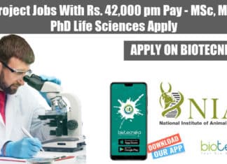 NIAB Project Jobs