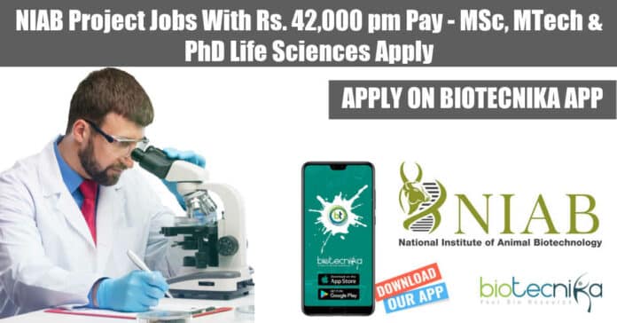 NIAB Project Jobs