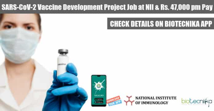 NII PhD Project Vacancy
