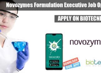 Novozymes Formulation Executive Job