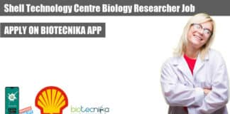 Shell Technology Centre Job