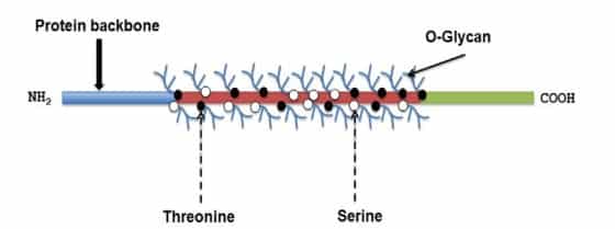 New method to aid bone regeneration