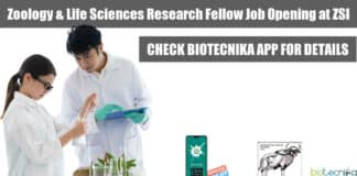 ZSI JRF Job