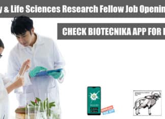 ZSI JRF Job