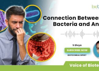Gut Bacteria & Anxiety