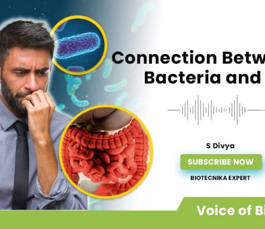 Gut Bacteria & Anxiety