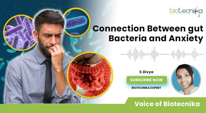 Gut Bacteria & Anxiety