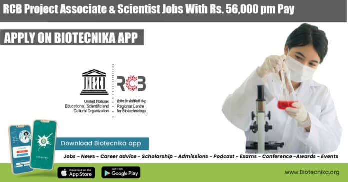 RCB Faridabad Project Jobs