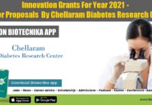 Innovation Grants for year 2021