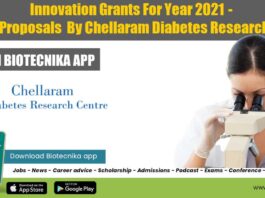 Innovation Grants for year 2021