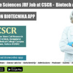 CSCR inStem JRF Job