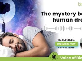 Why Do Humans Dream? - The Mystery Decoded by Voice of Biotecnika