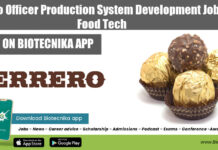 Ferrero Officer Production System Development Job For Food Tech Ferrero Officer Production