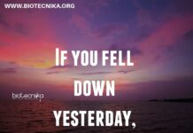 Biotecnika Times Newsletter 23.12.2021 Ramalingaswami Fellowship, Govt MoEF&CC Intern