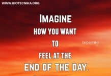 Biotecnika Times Newsletter 13.12.2021 BECIL Recruitment, CSIR Notice, CCRAS-RARI Job