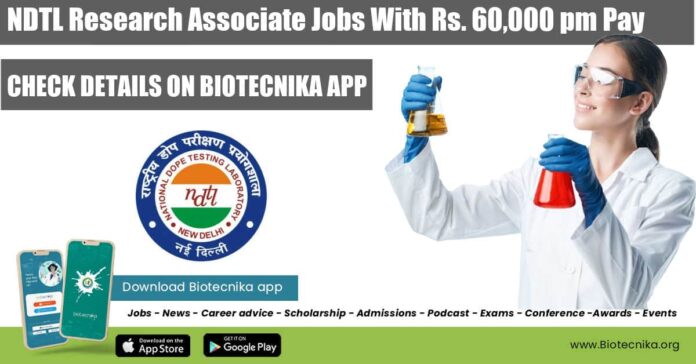 NDTL Research Associate Jobs