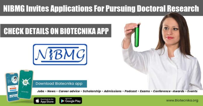NIBMG PhD Positions Available