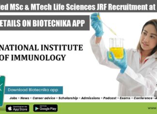 NII Research Fellow Project