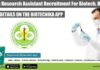 PGIMER Research Assistant Recruitment For Biotech, Biochem PGIMER Research Assistant