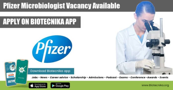Pfizer Microbiologist Vacancy Available