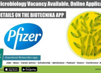 Pfizer Microbiology Vacancy