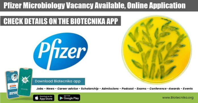 Pfizer Microbiology Vacancy