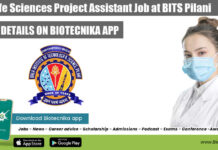Project Assistant Job Life