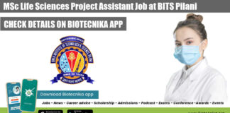Project Assistant Job Life
