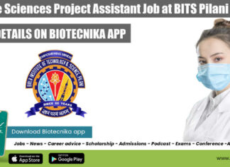 Project Assistant Job Life