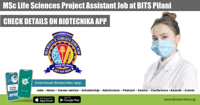 Project Assistant Job Life