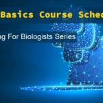 Python Basics Certification