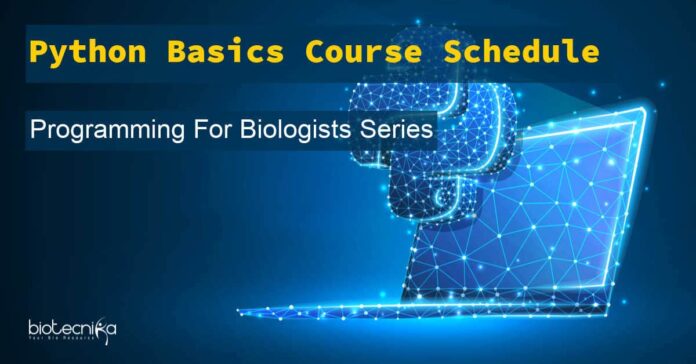 Python Basics Certification