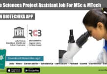 RCB Job MSc MTech