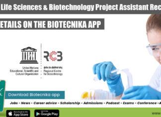 RCB Project Assistant Jobs