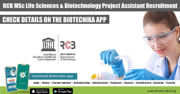 RCB Project Assistant Jobs