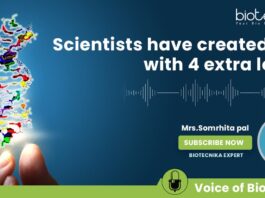 Scientist Created DNA