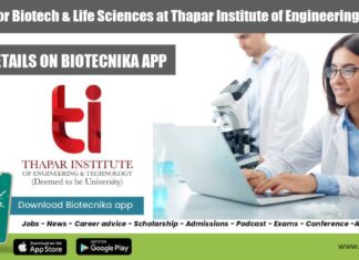 Thapar Institute JRF Job