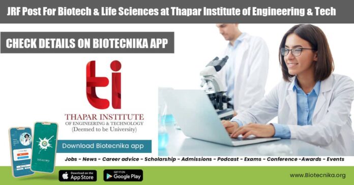 Thapar Institute JRF Job
