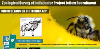 ZSI Project Fellow Jobs