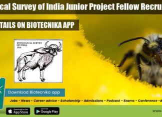 ZSI Project Fellow Jobs