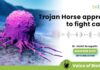 Trojan Horse Approach To Fight Cancer – Voice of Biotecnika New Approach To Fight Cancer
