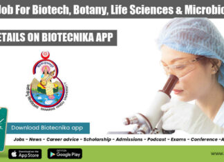 BHU JRF Job For