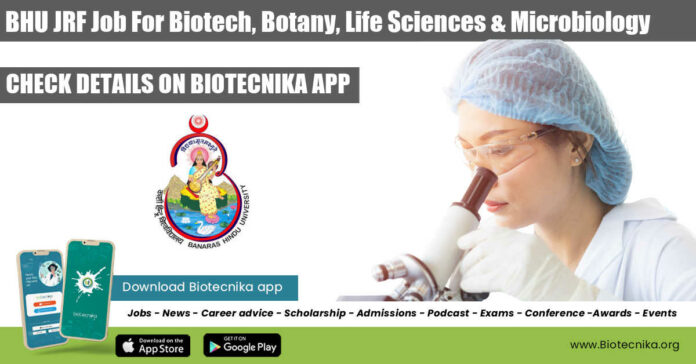 BHU JRF Job For