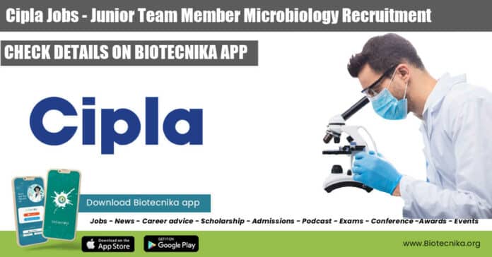 Cipla Jobs