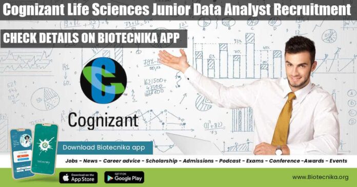 Cognizant Junior Data Analyst