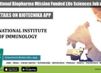NII Research Associate Jobs