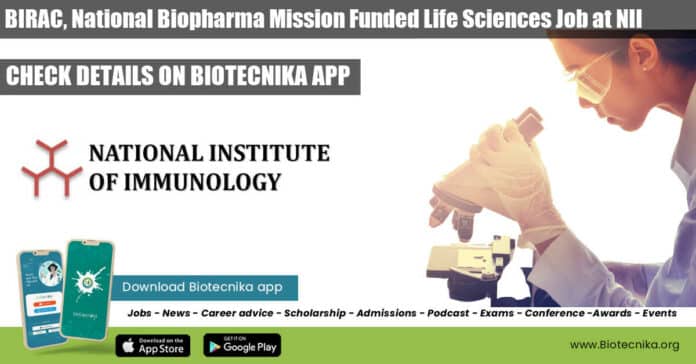 NII Research Associate Jobs