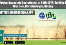 Online Project Associate Recruitment