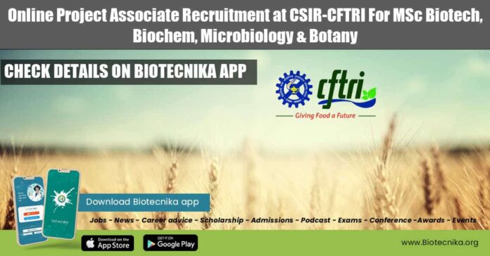 Online Project Associate Recruitment